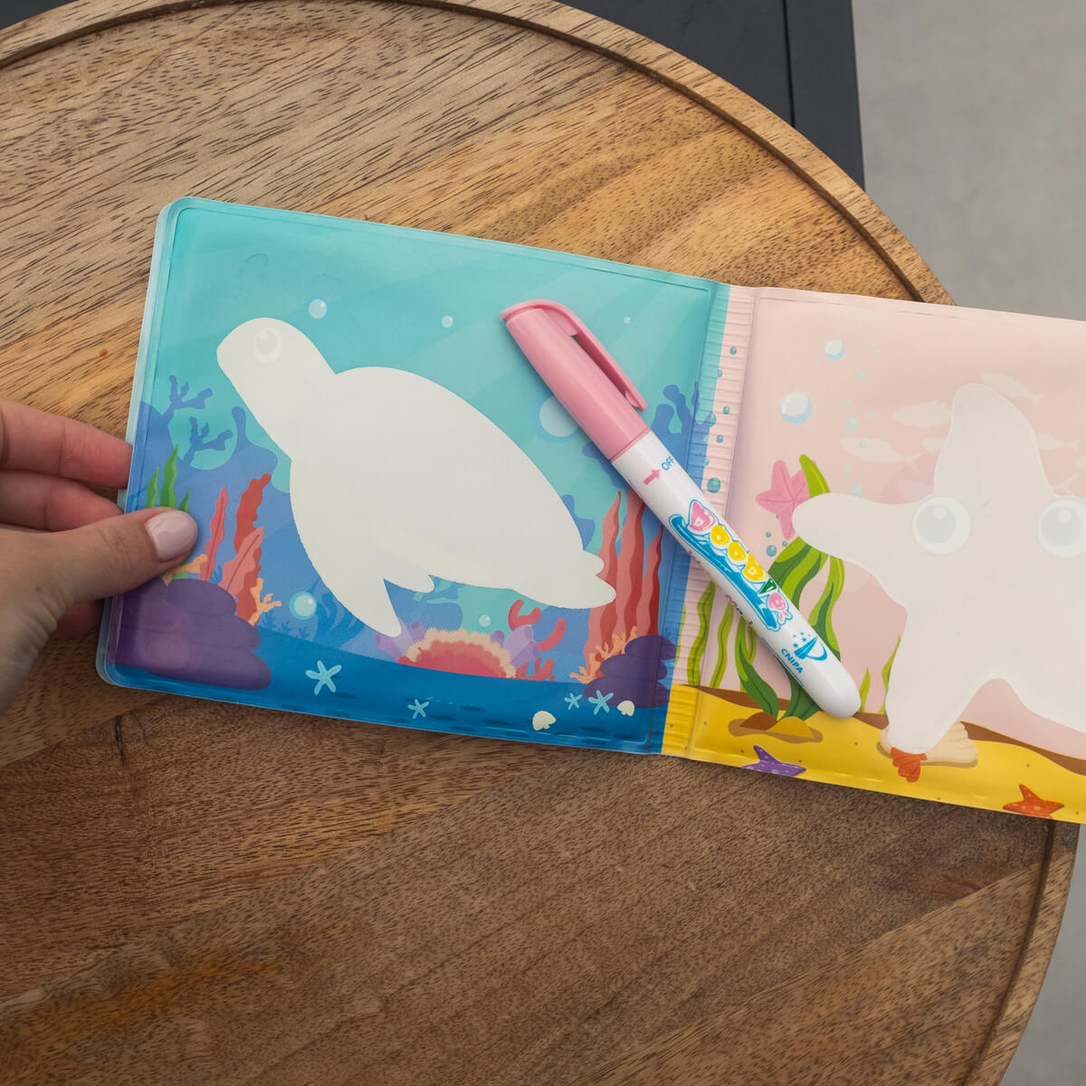 Skriti zakladi oceana 🐠 (Morske živalice)